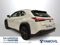 Usado Lexus UX 250h Business Edition 2022 Blanco SUV