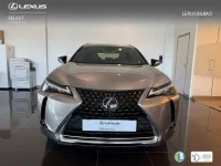 Usado Lexus UX 250h Business Edition 184 CV (135 kW) 2022 Plateado SUV