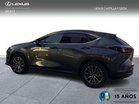 Usado Lexus NX450h+ 313 CV (230 kW) 2025 Gris SUV