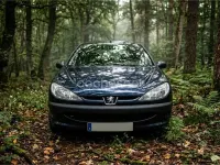 Usado Peugeot 206 75 CV (55 kW) 2006 Negro Berlina