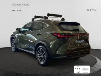 Nuevo Lexus NX350h 242 CV (177 kW) 2025 Verde