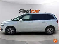 Usado Citroën C4 Feel 130 CV (95 kW) 2020 Blanco