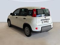 Usado Fiat Panda Urban 70 CV (51 kW) 2024 Blanco Utilitario