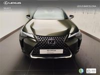 Nuevo Lexus UX 199 CV (146 kW) 2025 Verde SUV