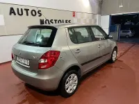 Usado Skoda Fabia 80 CV (58 kW) 2010 Beige Berlina
