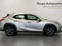Usado Lexus UX 250h Business Edition 184 CV (135 kW) 2022 Gris SUV