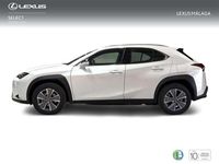 Usado Lexus UX 300e 150 kW (204 CV) 2024 Blanco SUV