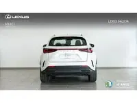 Usado Lexus NX350h 244 CV (179 kW) 2024 Blanco