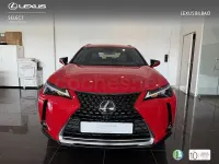 Usado Lexus UX Business Edition 184 CV (135 kW) 2022 Rojo SUV