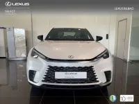 Usado Lexus LBX 136 CV (100 kW) 2025 Blanco SUV