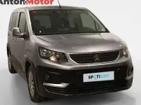 Usado Peugeot Rifter Active 100 CV (73 kW) 2020 Monovolumen