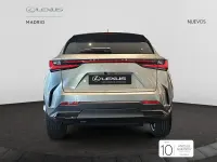 Nuevo Lexus NX350h Executive Line 242 CV (177 kW) 2025 Gris