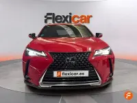 Usado Lexus UX Business Edition 184 CV (135 kW) 2019 Rojo SUV