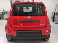 usado Fiat Panda 1.0 Gse City Live Hybrid