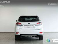 usado Lexus RX450h 25 Aniversario