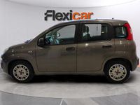 Usado Fiat Panda 71 CV (52 kW) 2022 Gris Utilitario
