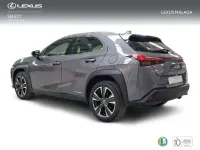 Usado Lexus UX 250h 184 CV (135 kW) 2022 Gris SUV