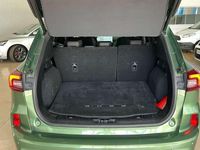 Usado Ford Kuga ST-Line X 246 CV (180 kW) 2024 Verde SUV