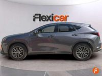 Usado Lexus NX450h+ Executive Line 306 CV (225 kW) 2023 Gris SUV