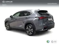 Usado Lexus NX300h 197 CV (144 kW) 2021 Gris SUV