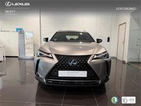 Usado Lexus UX 250h Business Edition 184 CV (135 kW) 2021 Otro SUV