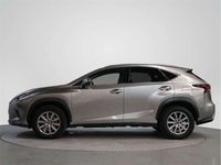 usado Lexus NX300 300h Business Navigation 2WD