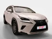 Usado Lexus NX300h Business Edition 197 CV (144 kW) 2019 Blanco SUV