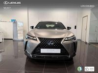 Usado Lexus UX 250h Business Edition 184 CV (135 kW) 2021 Plateado SUV