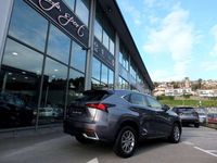 usado Lexus NX300 300h Business Navigation 2WD