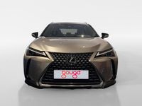 Usado Lexus UX 199 CV (146 kW) 2025 SUV
