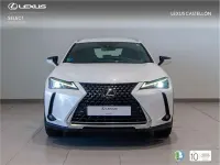 Usado Lexus UX 250h Business Edition 184 CV (135 kW) 2022 SUV