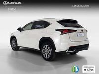 Usado Lexus NX300h Business Edition 197 CV (144 kW) 2019 Blanco SUV