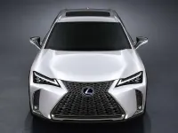 Usado Lexus UX 250h Business Edition 184 CV (135 kW) 2022 Naranja SUV