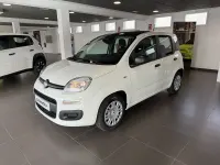 Nieuw Fiat Panda Icon 100 PK (73 kW) 2025 Wit Hatchback