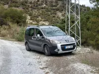 Usado Peugeot Partner Tepee Outdoor 90 CV (66 kW) 2010 Gris / plata Monovolumen