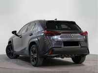 Usado Lexus UX 250h 184 CV (135 kW) 2023 SUV