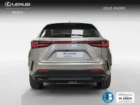 Usado Lexus NX450h+ Executive Line 306 CV (225 kW) 2022 Gris SUV