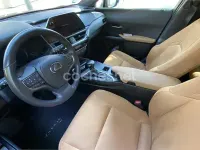 Usado Lexus UX Executive Line 184 CV (135 kW) 2024 Verde SUV