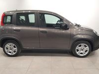 Usado Fiat Panda 69 CV (50 kW) 2024 Gris Utilitario