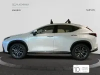 Nuevo Lexus NX350h 242 CV (177 kW) 2025 Blanco