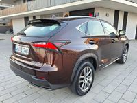 Usado Lexus NX300h Executive Line 197 CV (144 kW) 2016 Marrón SUV