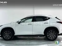 Usado Lexus NX450h+ 292 CV (214 kW) 2026 Blanco SUV