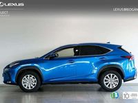 usado Lexus NX300h BUSINESS NAVIGATION