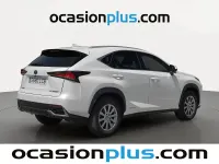 Usado Lexus NX300h 197 CV (144 kW) 2019 Blanco SUV