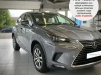 Usado Lexus NX300h Business Edition 197 CV (144 kW) 2019 Gris / plata SUV