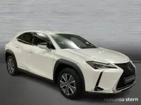 Usado Lexus UX 150 kW (204 CV) 2022 Blanco SUV