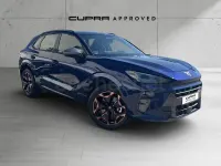 Usado Cupra Terramar 204 CV (150 kW) 2025 Azul SUV