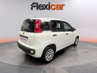 Usado Fiat Panda 71 CV (52 kW) 2022 Blanco Berlina