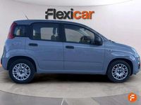 Usado Fiat Panda 71 CV (52 kW) 2022 Gris Utilitario