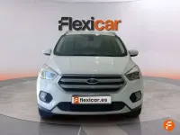 Usado Ford Kuga Trend 120 CV (88 kW) 2018 Blanco SUV